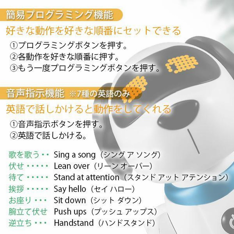 ロボットプログラムスタンド 110310680939_036_2023080111585