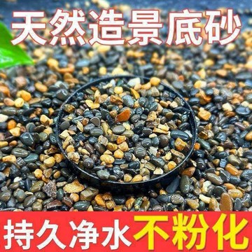 🌸🌸【2斤裝】原生溪流石底砂浴缸底砂造景水族烏龜專用鋪底裝飾純天然鵝卵石