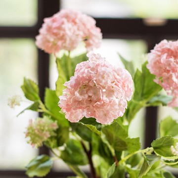 掬涵 2頭香雪球 繡球花仿真花高品質絹花桌面客廳臥室裝飾