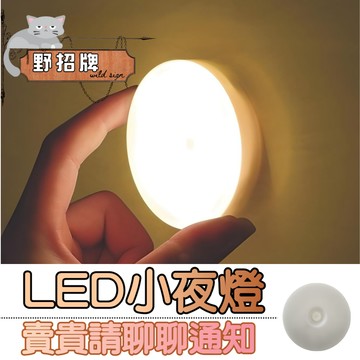 【在台🇹🇼現貨】LED小夜燈 16顆LED 強磁吸附 小夜燈 USB充電 玄關燈 櫥櫃燈 照明燈 氣氛燈 餵奶燈 樓梯燈
