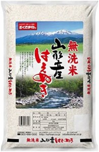 山形県産 無洗米 はえぬき 5kg