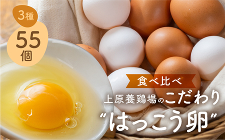 はっこう卵　3種食べ比べMS~Lサイズ 55個 破卵保障5個 卵 種類 サイズ おまかせ 白卵 30個 赤卵 20個 青卵 10個 アローカナ たまご タマゴ 食比べ 生卵 味卵 煮卵 目玉焼き ゆで卵 キッシュ 沖縄 糸満市 上原養鶏場 10000円