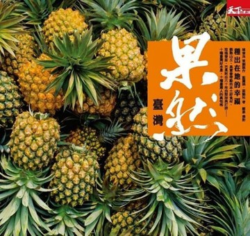 果然臺灣[二手書_普通]