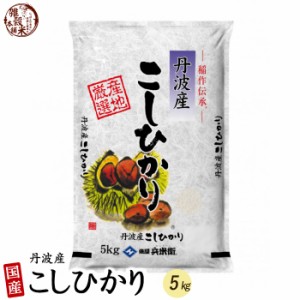 ＼ セール ／ コシヒカリ 5kg 丹波産 選べる 白米 無洗米 令和5年産 単一原料米 送料無料 精米工場からの直送品