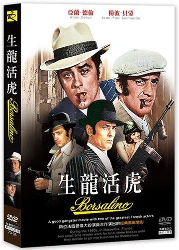 【停看聽音響唱片】【DVD】生龍活虎