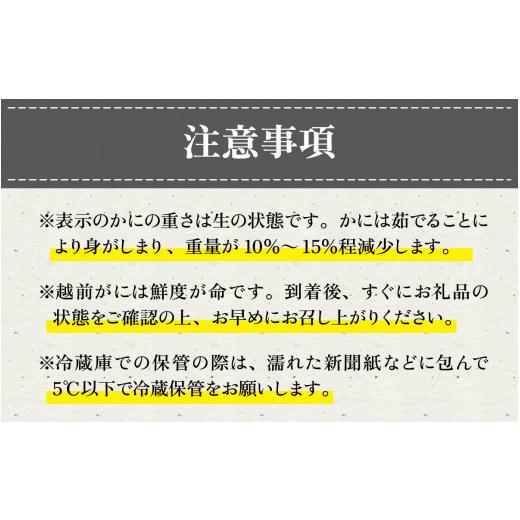 ふるさと納税 福井県 福井市 ＜2月発送分＞蟹好きが唸る老舗カニ料理店の越前茹ズワイ蟹（小1杯）【 越前がに ズワイガニ ずわいがに …