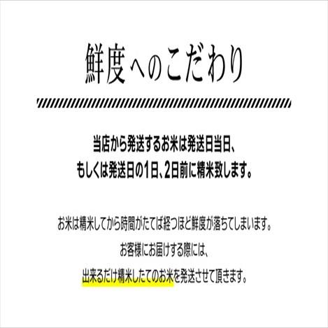 米 15kg 白米 生活応援米 エース 東北産 家庭用 業務用 白米7.5kg×2袋 送料無料