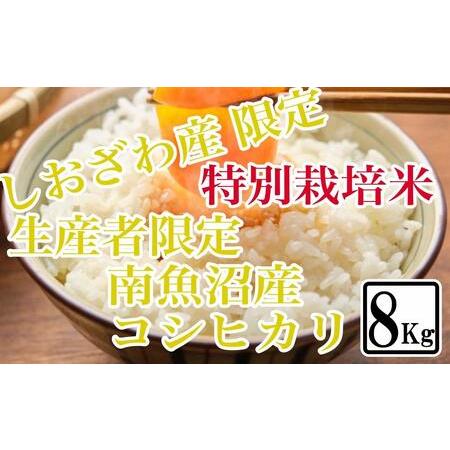 ふるさと納税 特別栽培 しおざわ産限定 生産者限定 南魚沼産コシヒカリ 新潟県南魚沼市