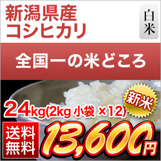 新米 令和5年(2023年)産 新潟県産 コシヒカリ 24kg（2kg×12袋）（白米）