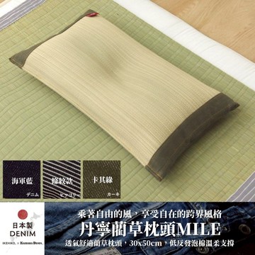 下殺1654 IKEHIKO日本池彥 藺草枕頭 Mile(海軍藍)/除臭枕頭/防潮枕頭/寬版枕頭 26Jan001