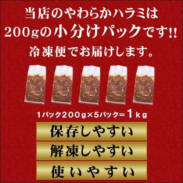 ハラミ 1kg 焼肉 肉 牛肉 焼き肉 焼肉セット バーベキュー BBQ やわらか 牛ハラミ 味噌だれ漬け メガ盛りセット バーベキューセット 食品 お肉