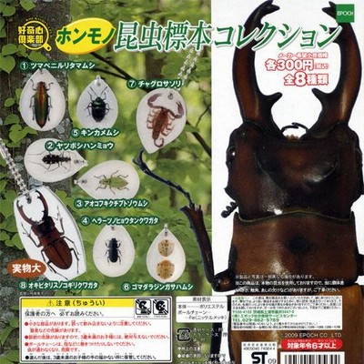 【お1人様1点限り】 r400 その他