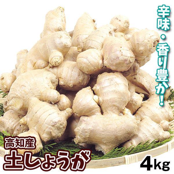 しょうが 4kg 高知産 土しょうが 送料無料 食品