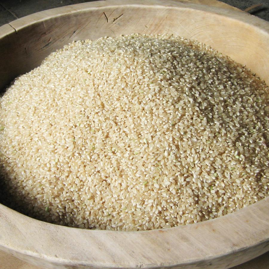 魚沼産コシヒカリ「金印」高食味米 5kg（令和5年産）