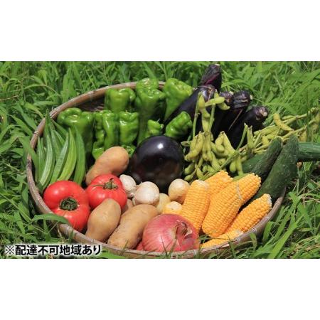 ふるさと納税 甘味に自信あり！彩り 野菜 BOX（7種類） 岡山県瀬戸内市