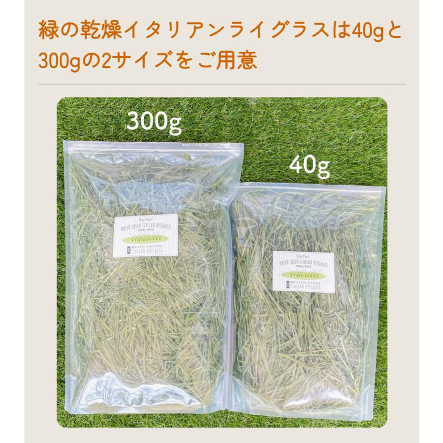 オーツヘイ うさぎさんの頬張る 緑のオーツヘイ 草原の味 70g×3袋 国産 無農薬 無添加 うさぎ 牧草 うさぎハート うさぎのおやつ Usagi Heart