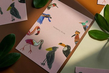 童趣插畫 世界的鳥 明信片