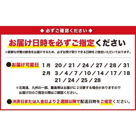 ふるさと納税  贅沢魚介だし！漁師の水炊き鍋セット　5人前　HA-4  三重県尾鷲市