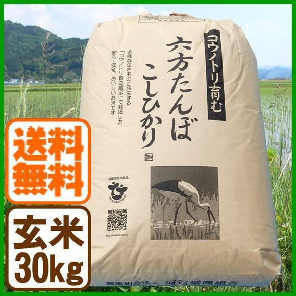 新米 コシヒカリ 玄米 30kg こうのとり米 令和5年産 送料無料 兵庫県産