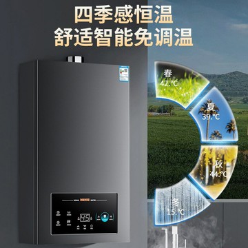 批發 榮事達天然氣燃氣熱水器家用13L液化氣煤氣強排式燃氣款16升