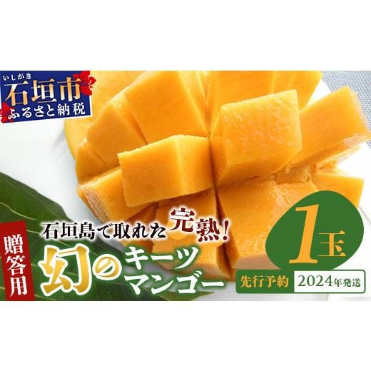 ふるさと納税 沖縄県 石垣市 《2024年6月下旬〜7月下旬発送》最高糖度23度！？ 完熟！7Lサイズ お得な幻のキーツマンゴー【沖縄 石垣島 石垣 八重山…