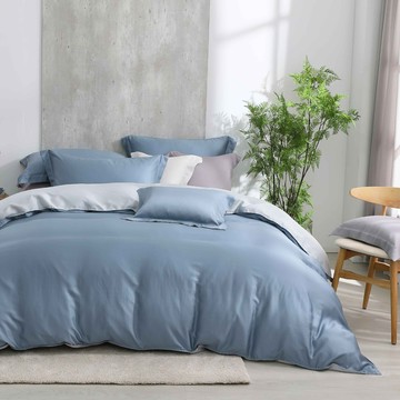 雙人兩用被套加大床包組/ 天絲300織 撞色/ 天絲 萊賽爾 / 帕迪藍 [鴻宇] 台灣製 - T20150