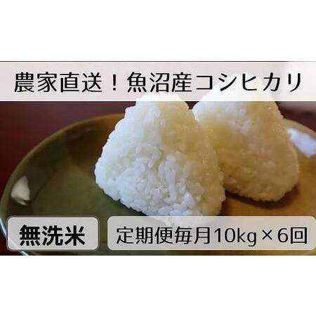 ふるさと納税  無洗米10kg　新潟県魚沼産コシヒカリ「山清水米」(5kg×2袋) 新潟県十日町市