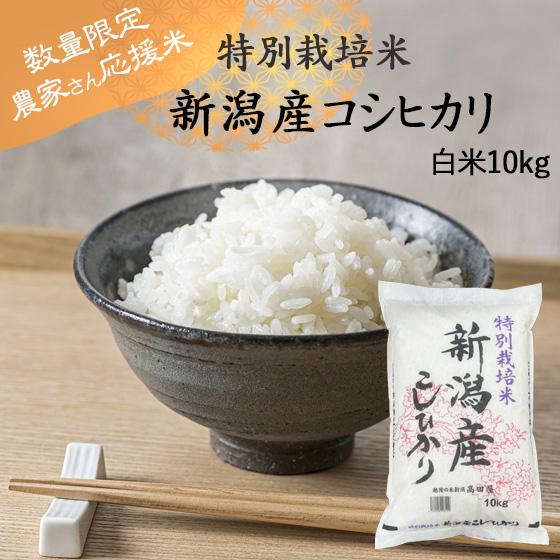 令和５年産　農家さん応援米　お米 10kg 白米 特別栽培米新潟県産 コシヒカリ　送料無料（一部地域を除く）