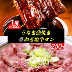 うなぎの蒲焼(1尾)とねぎ塩牛タン(250g)のセット