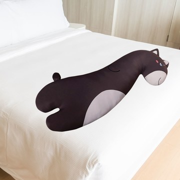 冰絲抱枕【多款可選】 卡通沁涼抱枕 抱枕 枕頭 卡通冰絲長條枕 夾腿抱枕 床頭靠墊 陪伴玩偶 清涼而不冰 清涼透氣