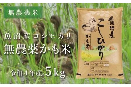 ＜令和5年産新米＞魚沼産コシヒカリ「無農薬かも米」5kg