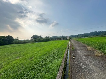 【新竹北埔｜黃金水鄉大面寬美田】｜新竹縣北埔鄉南昌段