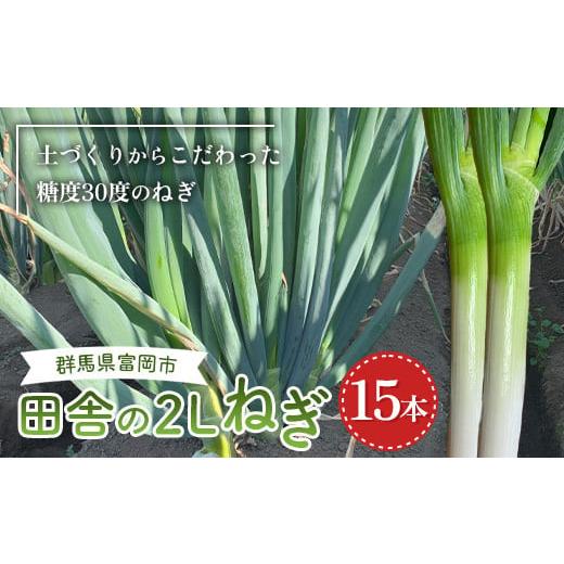 ふるさと納税 群馬県 富岡市 田舎の2Lねぎ 15本 長ネギ 長ねぎ 長葱 ねぎ 有機肥料  野菜