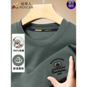 稻草人男士純棉長袖t恤2024新款秋裝圓領衛衣男裝寬松休閑打底衫