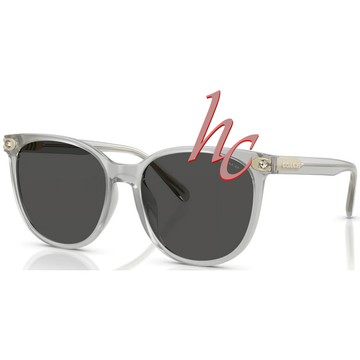 COACH 蔻馳 亞洲版 時尚太陽眼鏡 框面精緻水鑽設計 HC8414BD 561487 透灰框深灰鏡片 公司貨