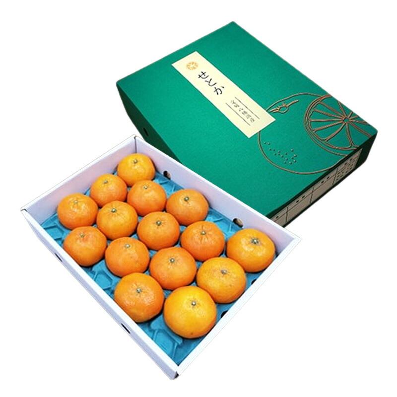  フルーツ 愛媛県産 せとか 約3kg （ M〜3Lサイズ 9〜15玉 ） 果物 柑橘 みかん 青果 内祝い ギフト 高級 送料無料 NENP011
