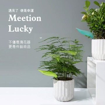 樹葉造型澆水器