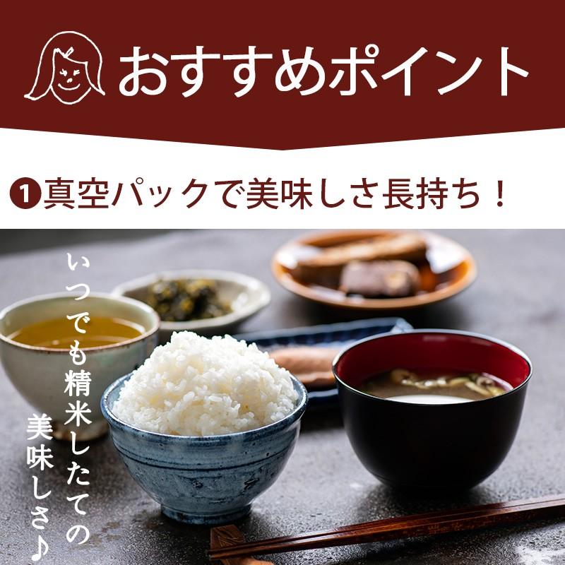 令和5年産  新潟米 食べ比べ ギフト まごころキューブセット6 300g×6 送料無料 コシヒカリ 新之助 魚沼 佐渡 内祝い 出産 結婚 詰合せ お歳暮