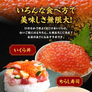 ふるさと納税 いくら醤油漬け250g×2 北海道産_Y006-0010 北海道余市町