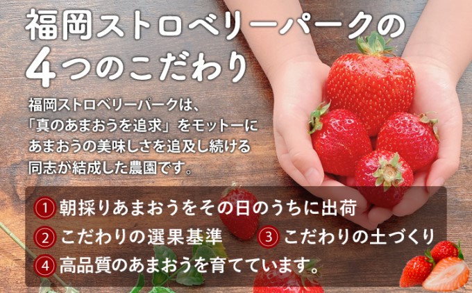 訳あり いちご 2024年2月下旬より発送 あまおう サイズ色々 6パック 約1.71kg 配送不可 離島