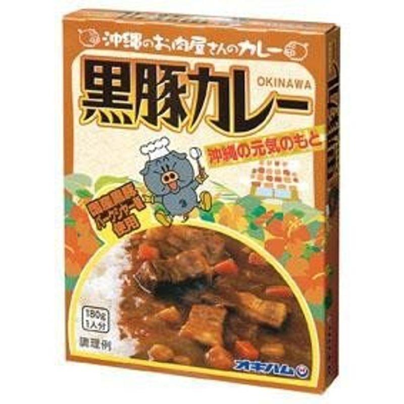 沖縄黒豚カレー 180g×10個セット