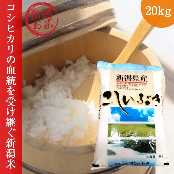 新潟 こしいぶき 20kg (5kg×4)   令和5年度 コシイブキ 新米 白米 送料無料