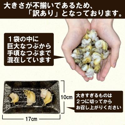 ふるさと納税 鹿部町 北海道鹿部町産 訳あり 前浜ボイルつぶ 2kg(500g×4袋) KS05-3