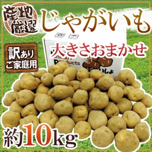 ”じゃがいも” 訳あり 約10kg 大きさおまかせ 産地厳選 送料無料