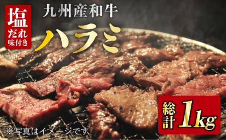 九州産 和牛 ハラミ 1kg（ 250g×4パック） 《長与町》 [EAX092] 肉 牛肉 焼肉 焼き肉 BBQ 冷凍 贅沢 1kg 大容量