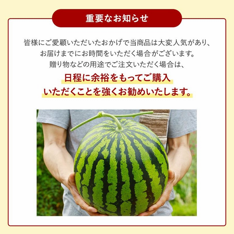 最優秀賞受賞 植木スイカ 5〜6kg 1玉 Mサイズ 特秀品 熊本県植木