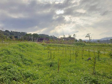 大溪莊園小農地｜桃園市大溪區溪崁段