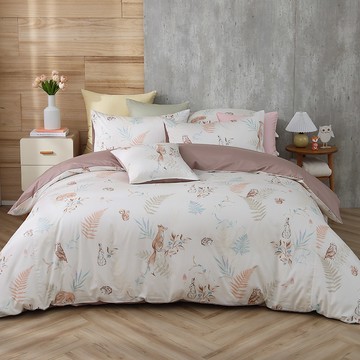 雙人薄被套床包組/美國棉授權品牌 300織/ 狐狸艾莉森 [鴻宇] 台灣製 - 2306可可