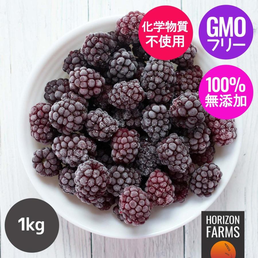 冷凍 ブラックベリー チリ産 化学物質不使用 1kg