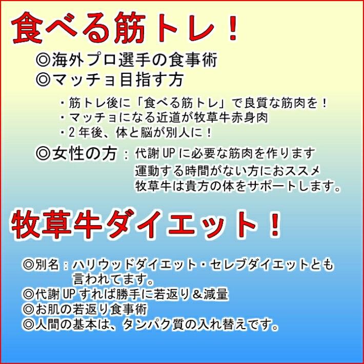 赤身肉　リブアイロース 250ｇカット(500g)　グラスフェッドビーフ 牧草牛 赤身肉 ステーキ肉 ローストビーフ リブロース キューブロール